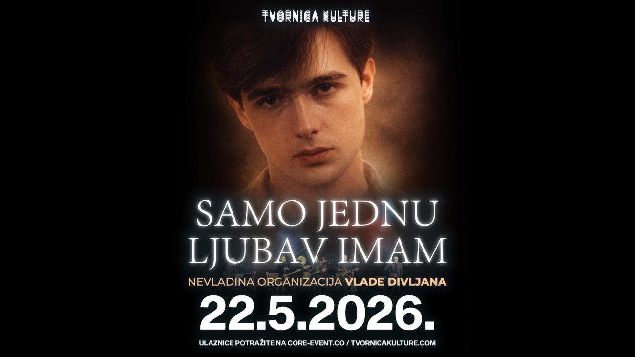 NEVLADINA ORGANIZACIJA VLADE DIVLJANA u Tvornici Kulture